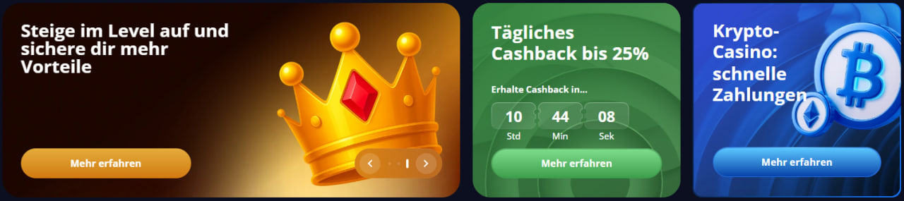 VIP-Treueprogramm Support und Expertenbewertung